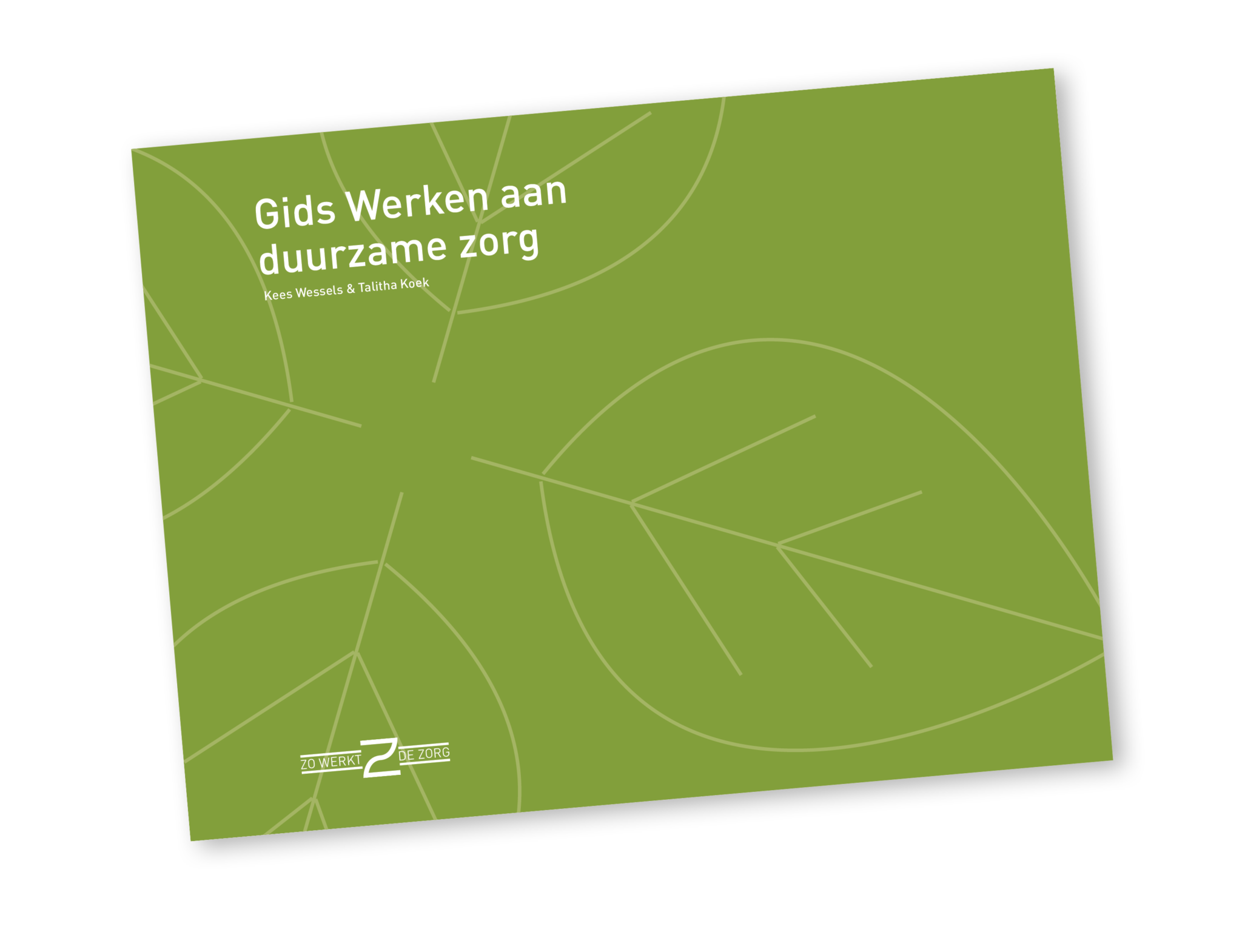 Gids toont grootste milieu-impact en duurzaamheids- acties zorgsector